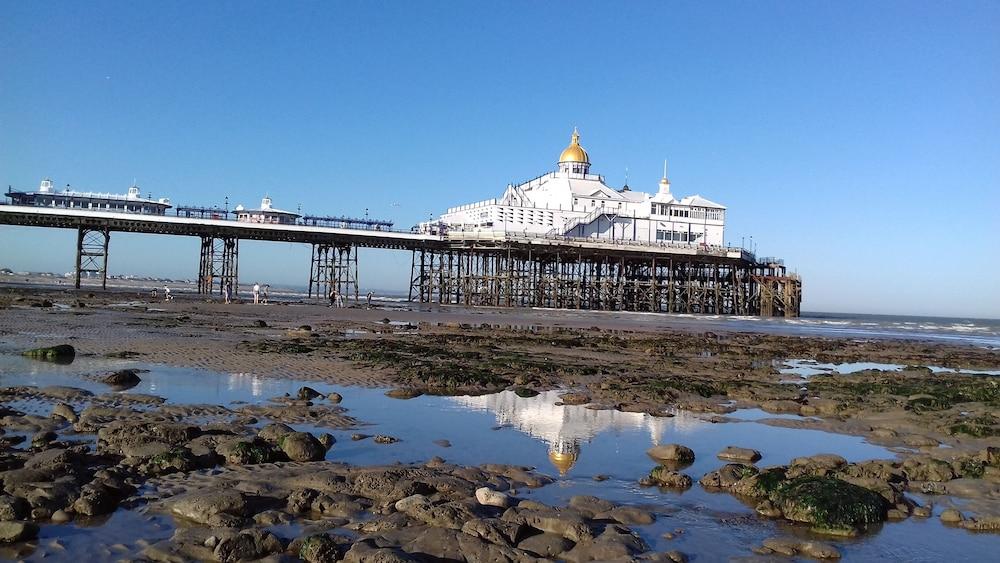 Ebor Lodge Eastbourne Ngoại thất bức ảnh