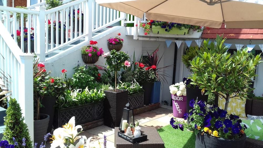 Ebor Lodge Eastbourne Ngoại thất bức ảnh